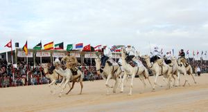 Camel Racing.jpg