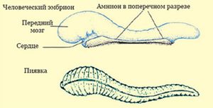 Сгуток.jpg